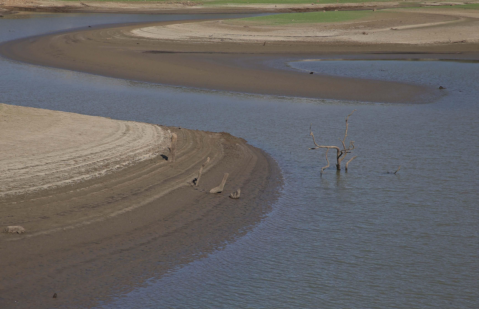 Imágenes del pantano de Charco Redondo en Los Barrios