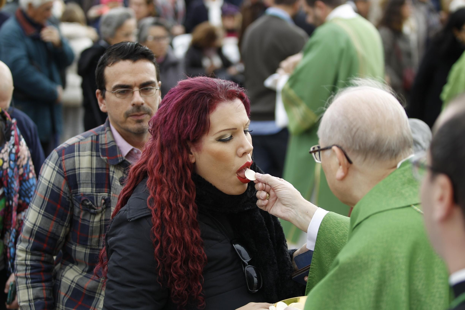 Las imágenes de la Romería de Torregarcía
