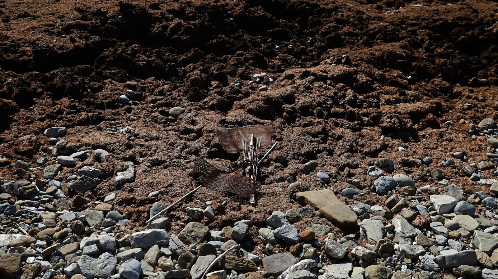 Las mejores fotos del sendero de la Colada de la Costa en Algeciras