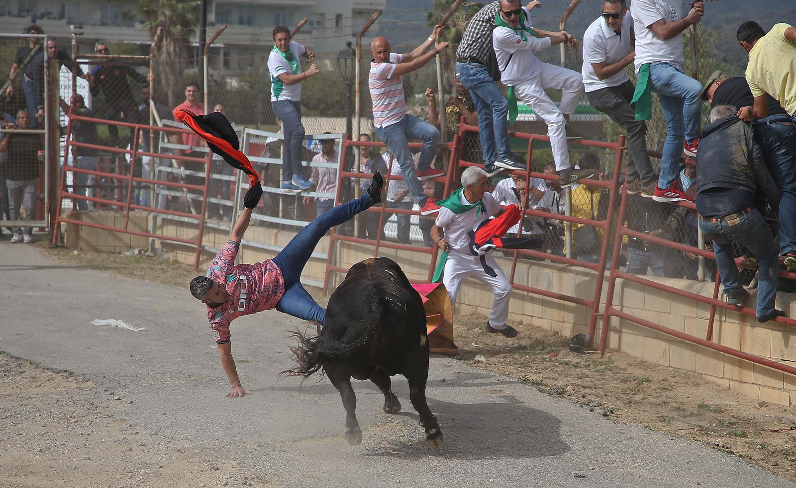 Fotos del Toro Embolao en Los Barrios