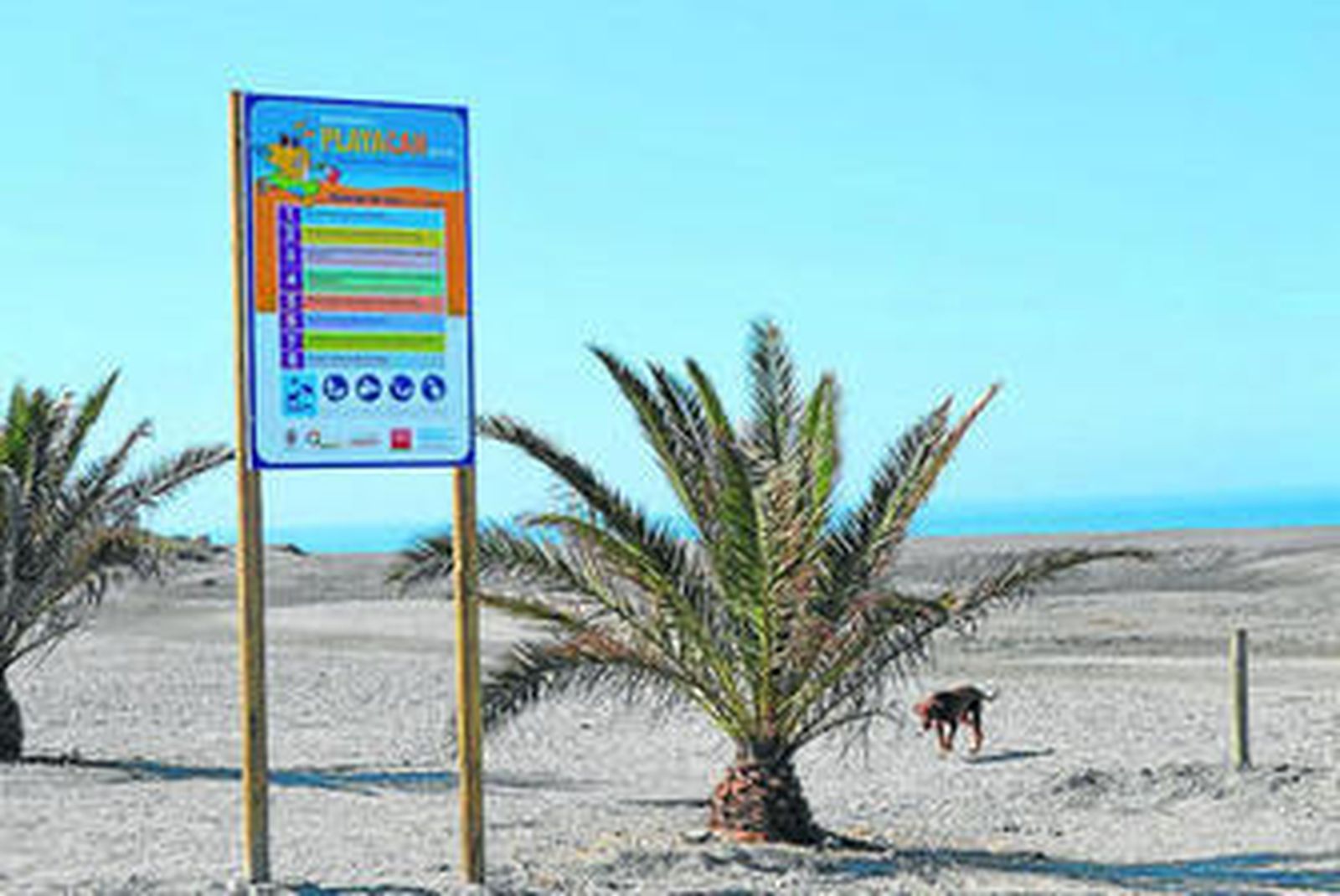 Arriba, imagen de la playa El Cable con algunas normas de uso como no causar molestias, no salir de la zona delimitada o responsabilizarse de los daños causados por el animal. Abajo, algunos vecinos de las playas motrileñas gozan de la costa junto a sus perros.