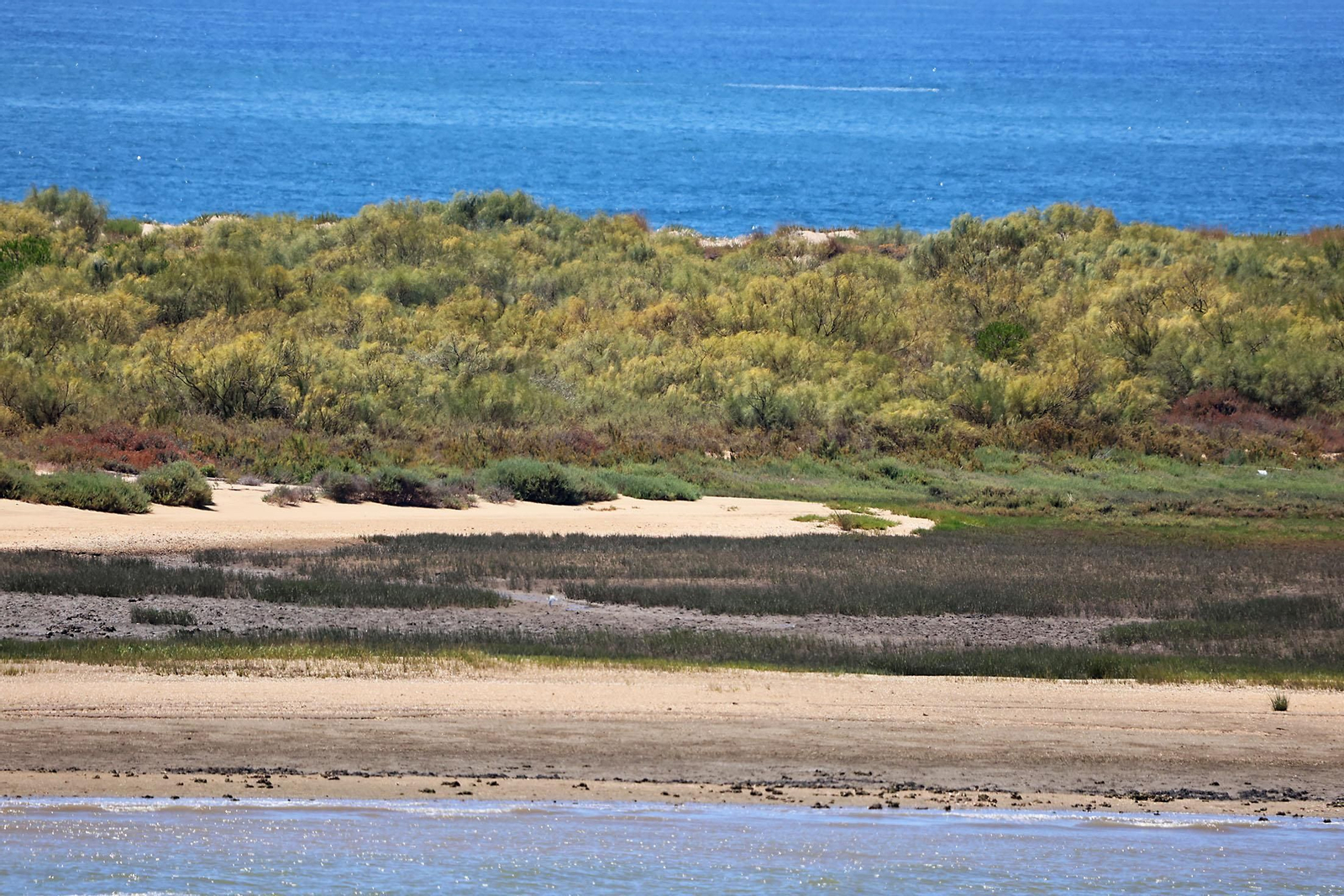 Las espectaculares vistas de la Flecha del Rompido desde el mirador de Nuevo Portil