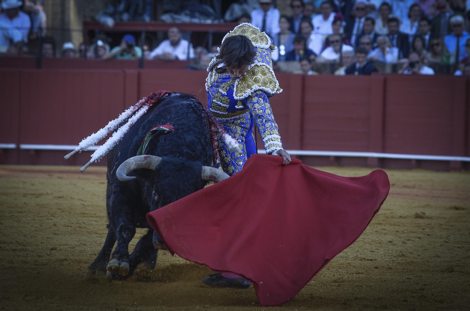 Las mejores imágenes del duodécimo festejo de toros