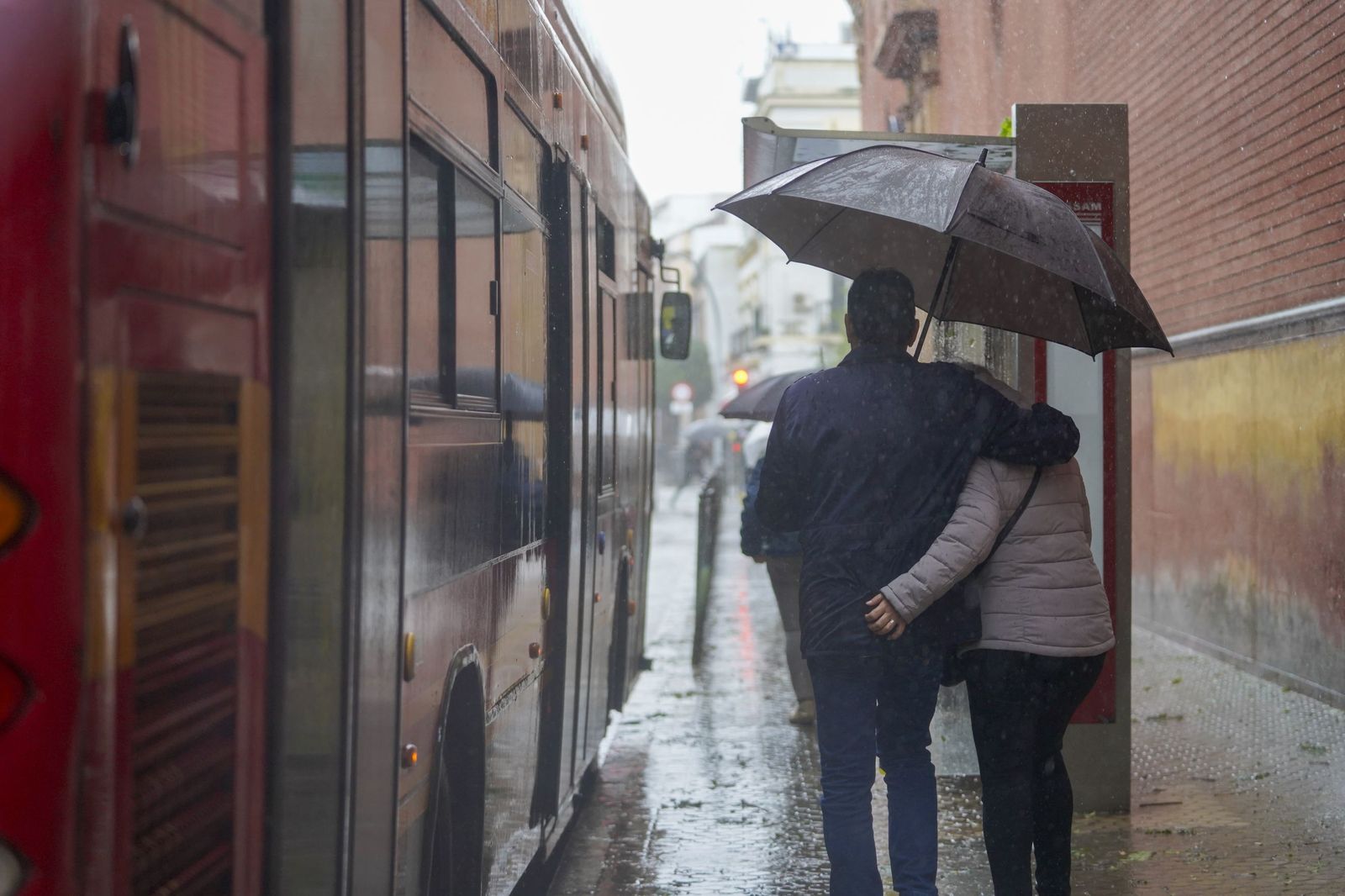 La intensa lluvia en Sevilla al paso de la Borrasca Leonardo en fotos
