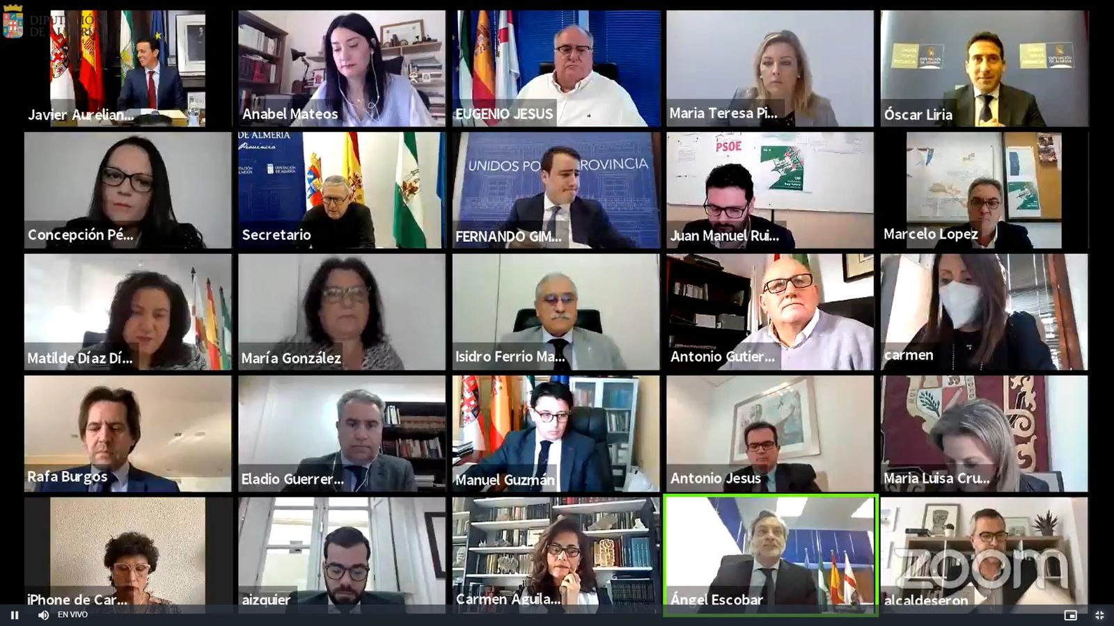 La sesión plenaria es telemática.