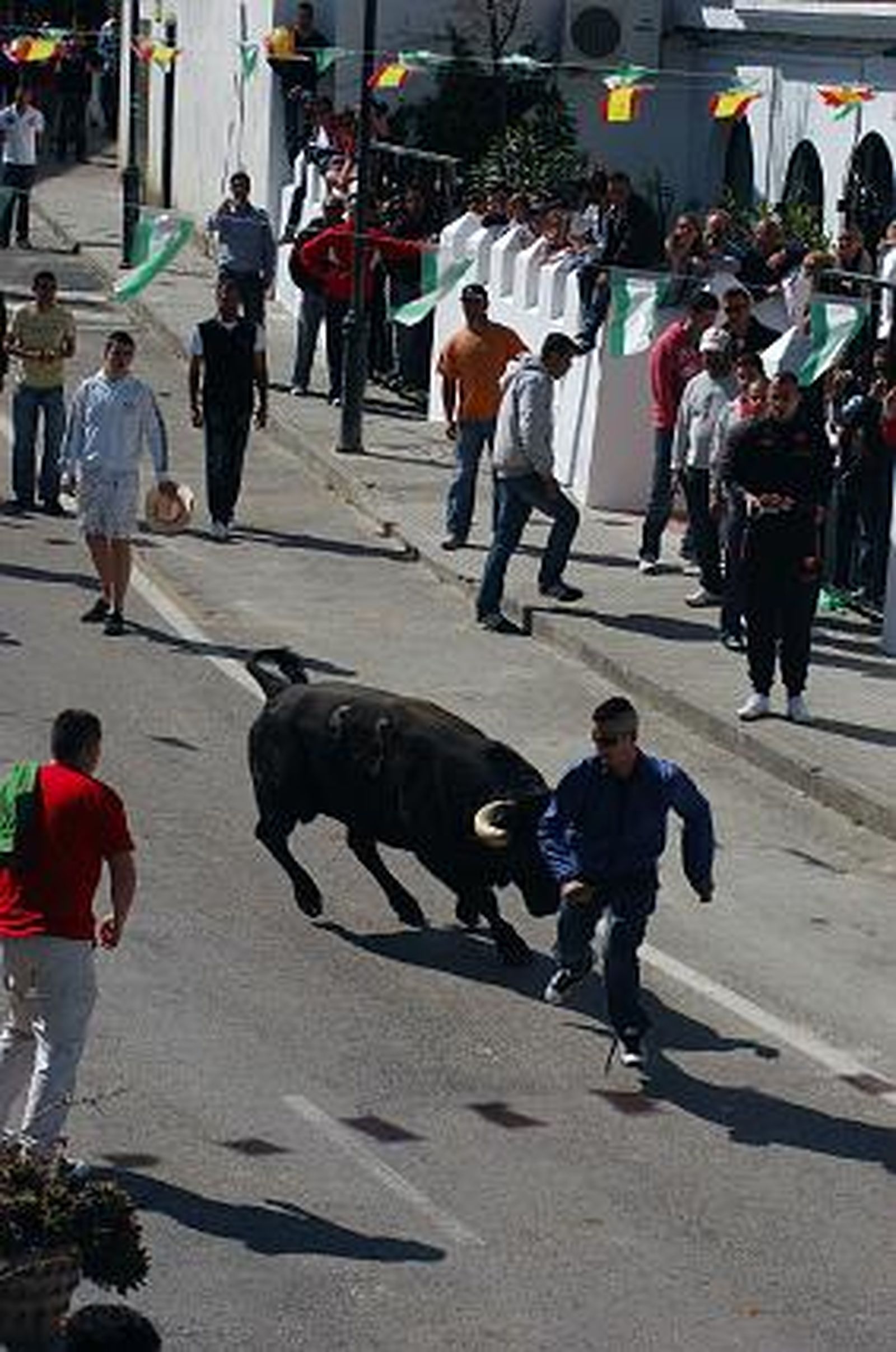Paterna también se echó a la calle para disfrutar del toro embolao coincidiendo con el Domingo de Resurreción. 

Foto: Manuel Aragon Pina