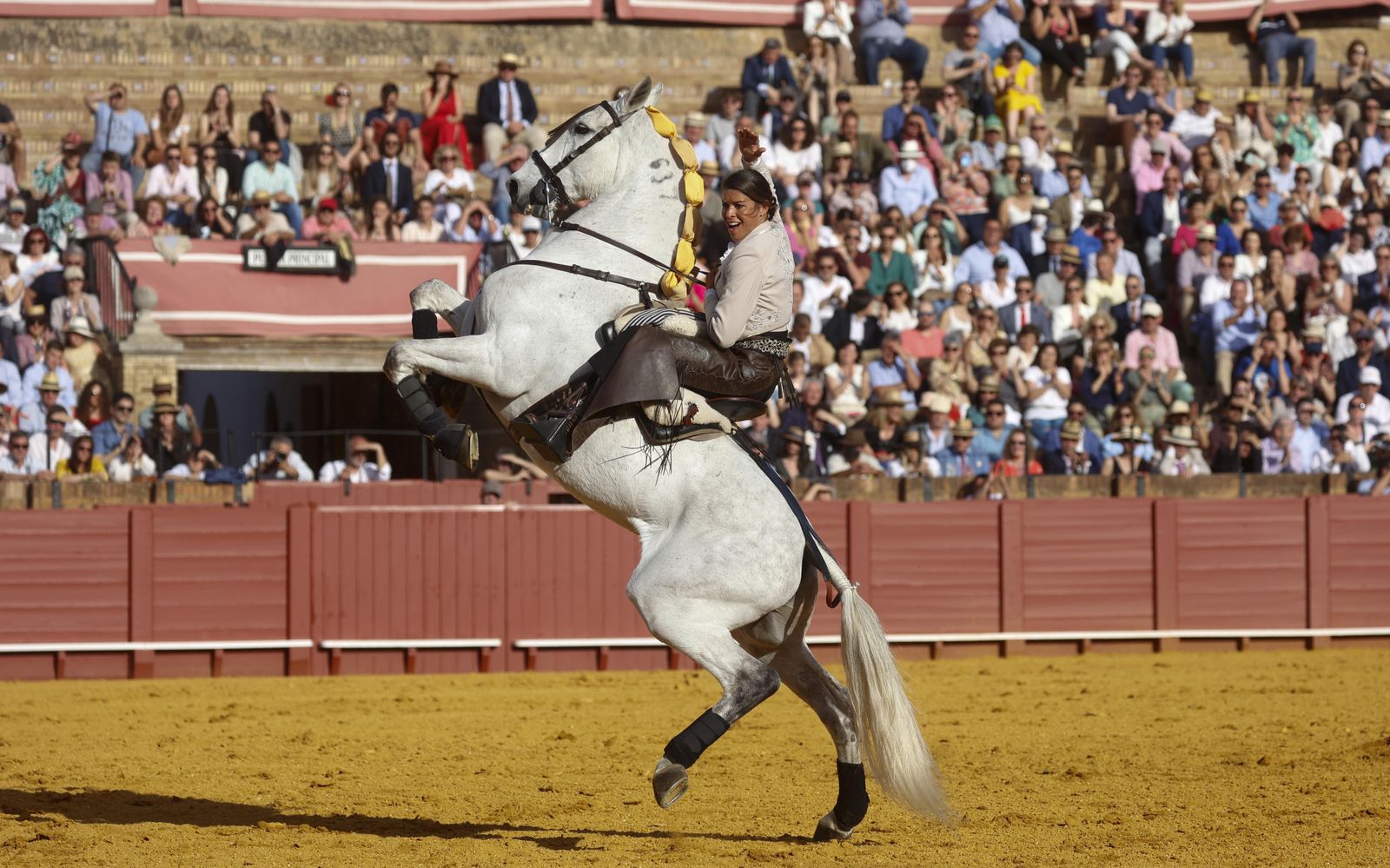 La corrida de rejones en imágenes
