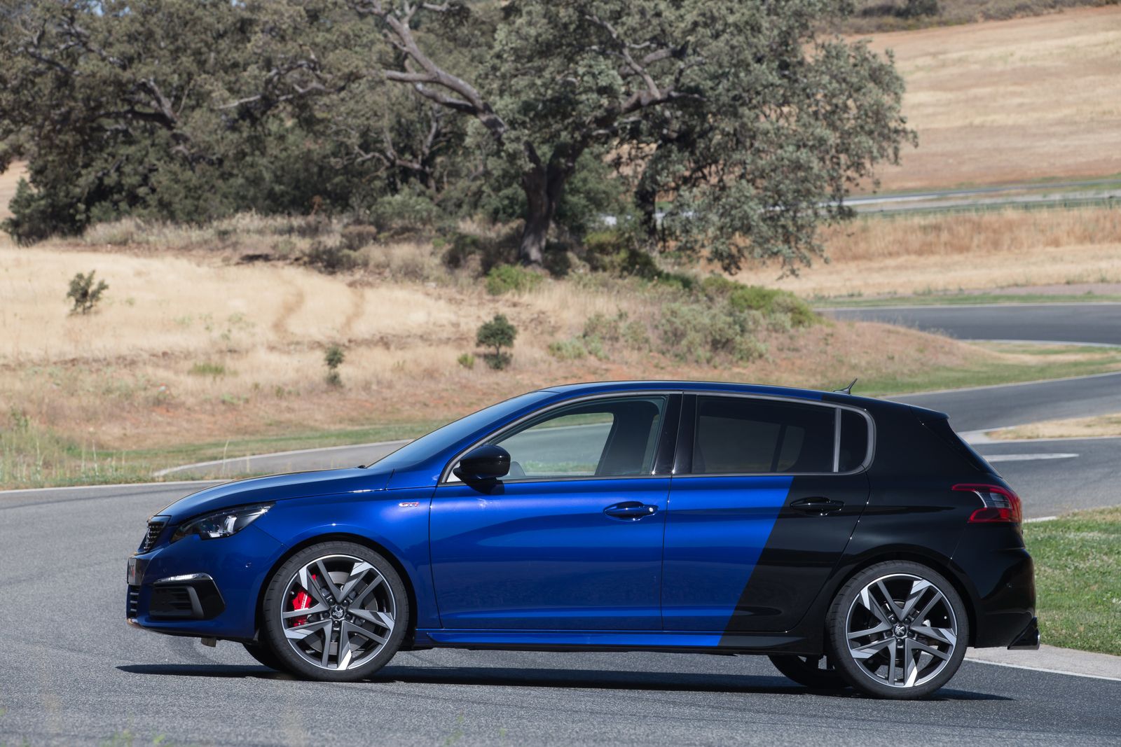 Galería de fotos del nuevo Peugeot 308 GTI