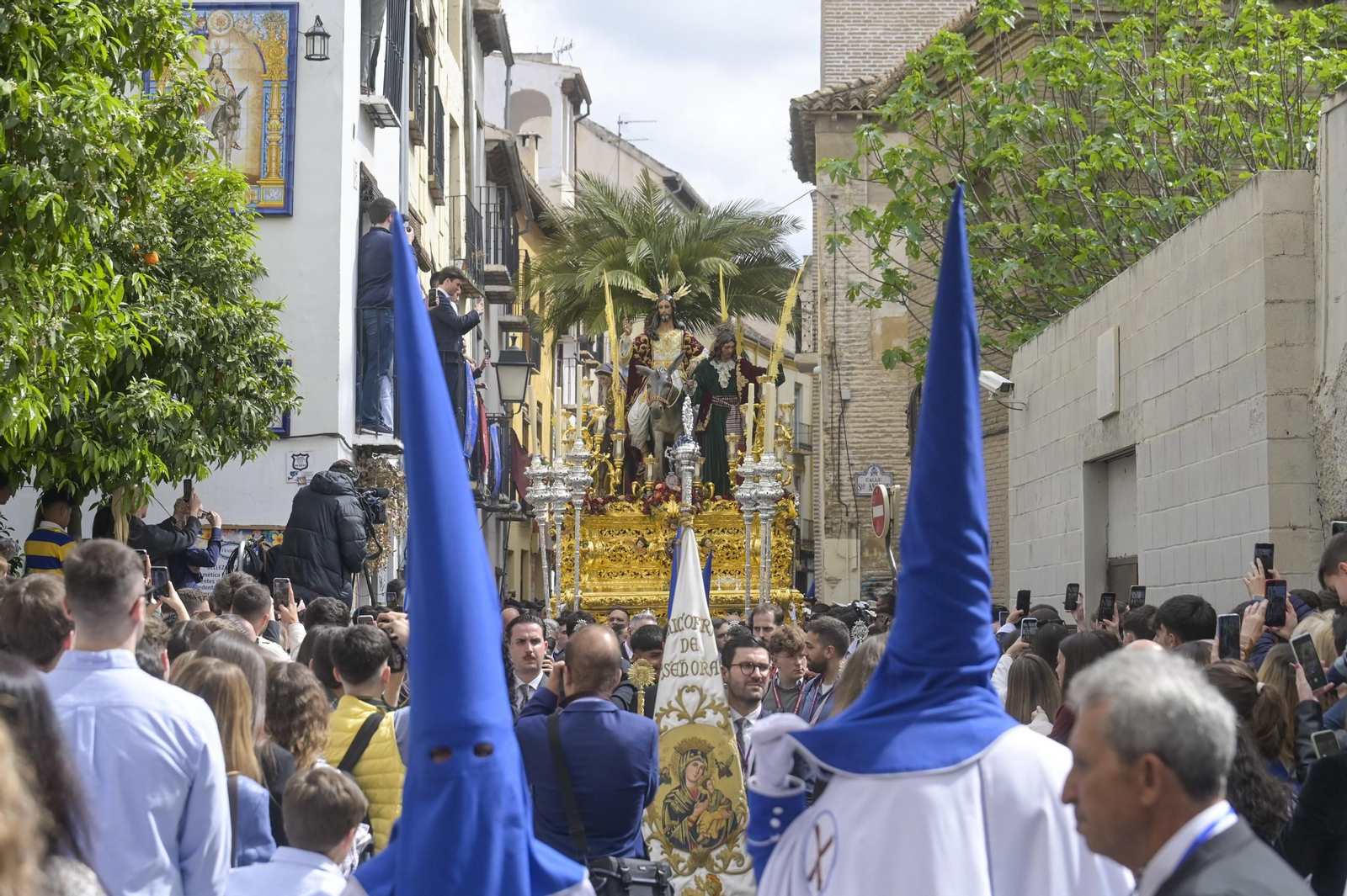 Así vivió Granada la salida de la Hermandad de la Borriquilla 2025