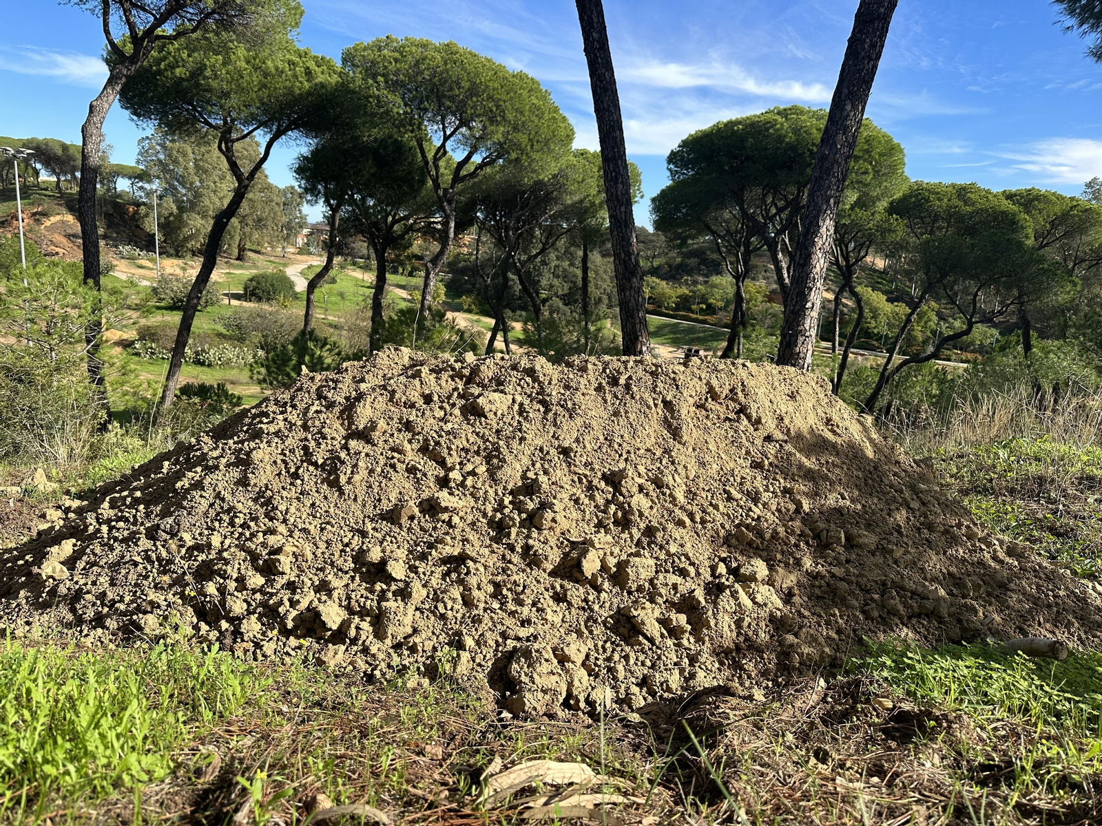 Los refugios de animales que se están creando en el parque Moret.