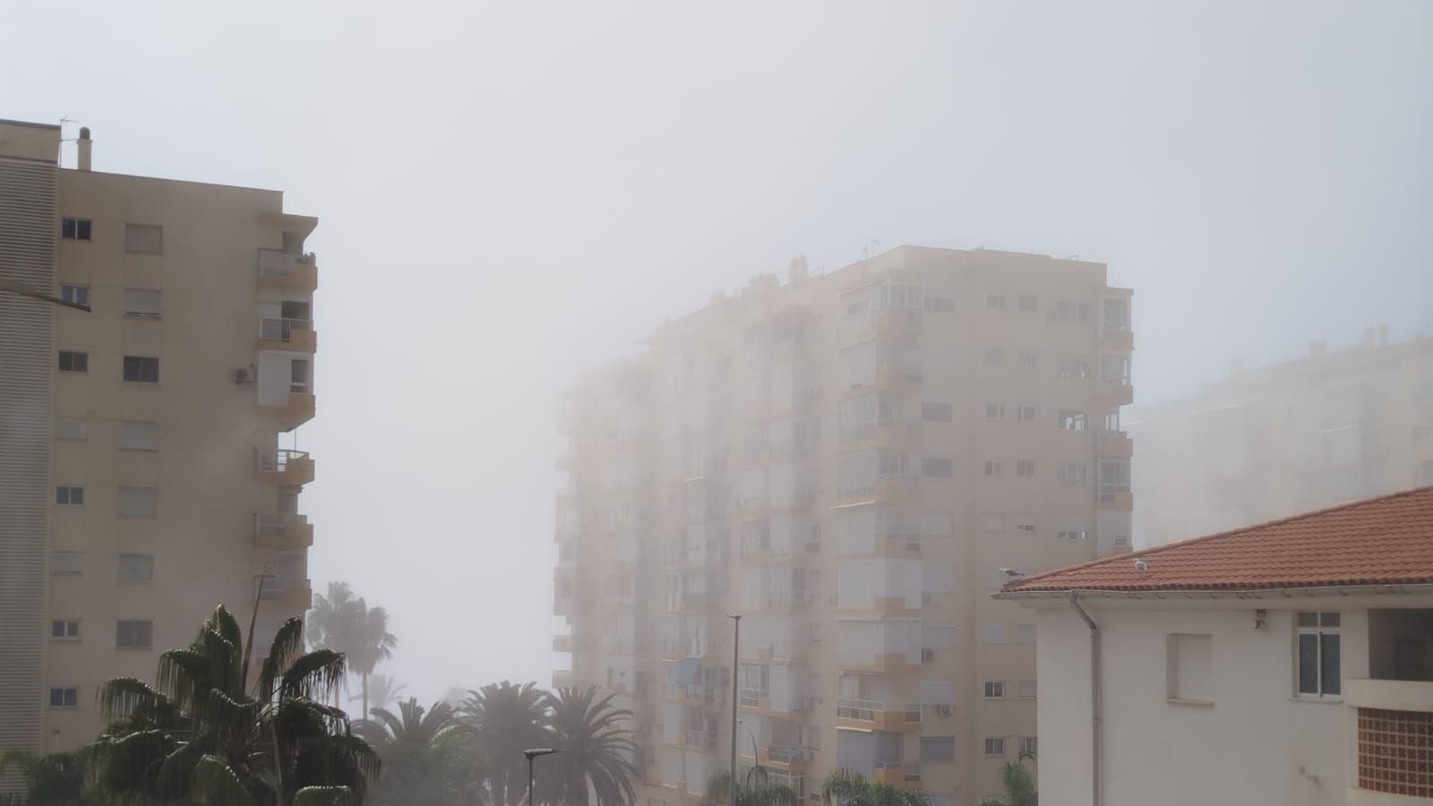 El taró se cuela entre los edificios en Algarrobo Costa.