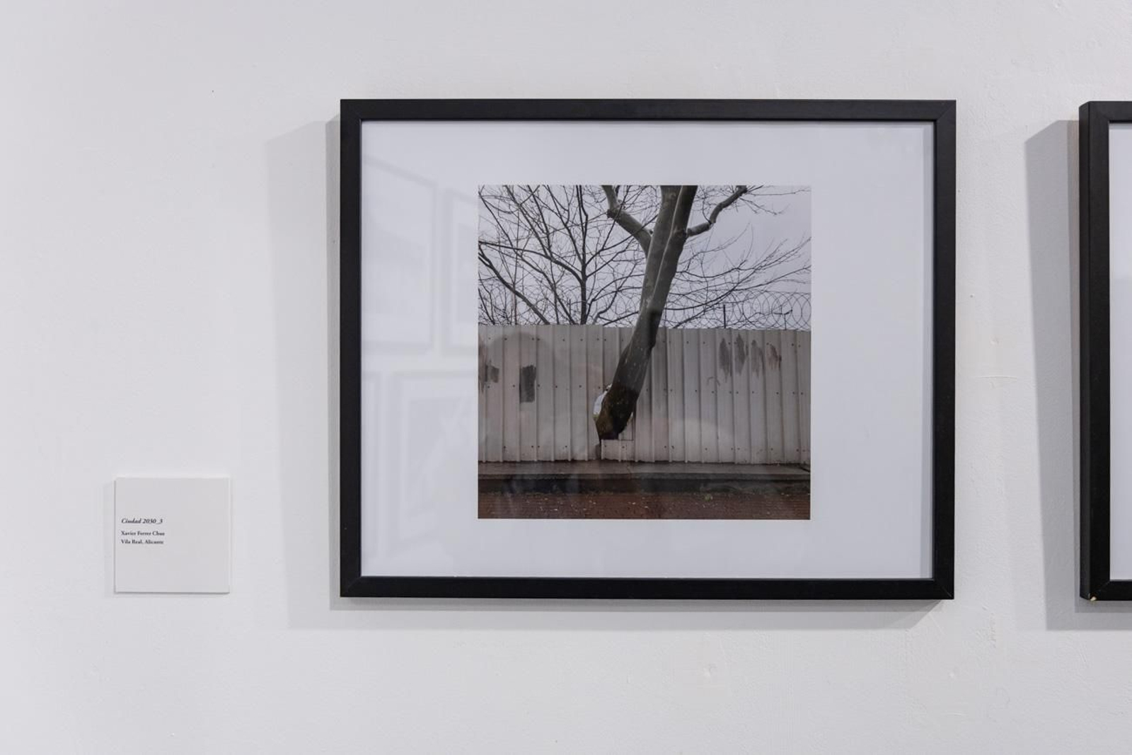 Fotografía para un mundo mejor en la Escuela José Nogué