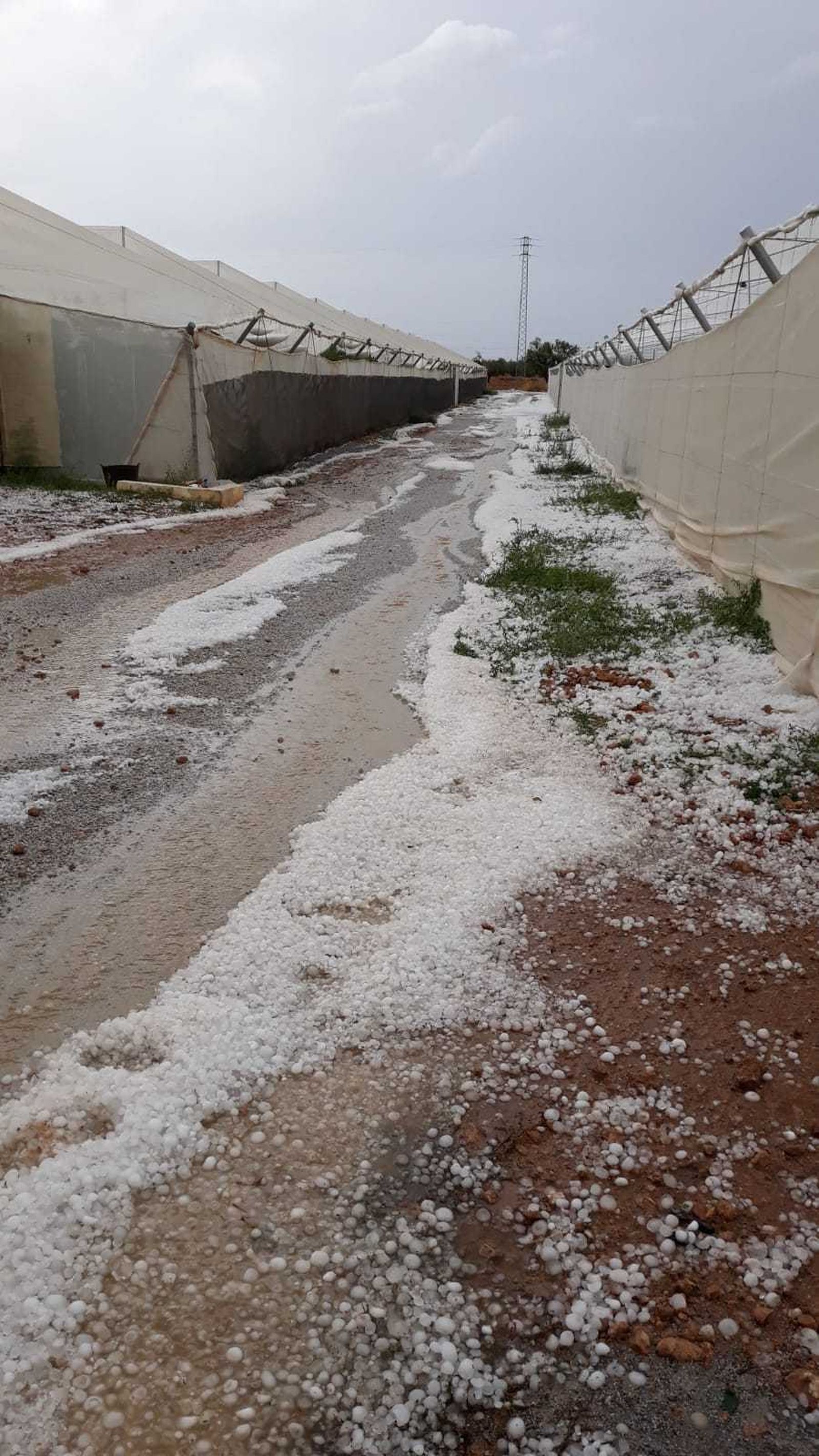 La granizada caída el lunes en Baza.