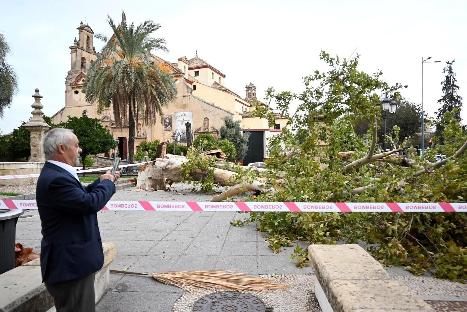 Los daños causados por la borrasca Bernard en Córdoba, en imágenes