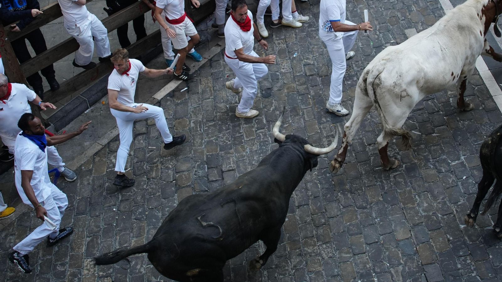 Las imágenes del encierro de los toros de Cebada Gago