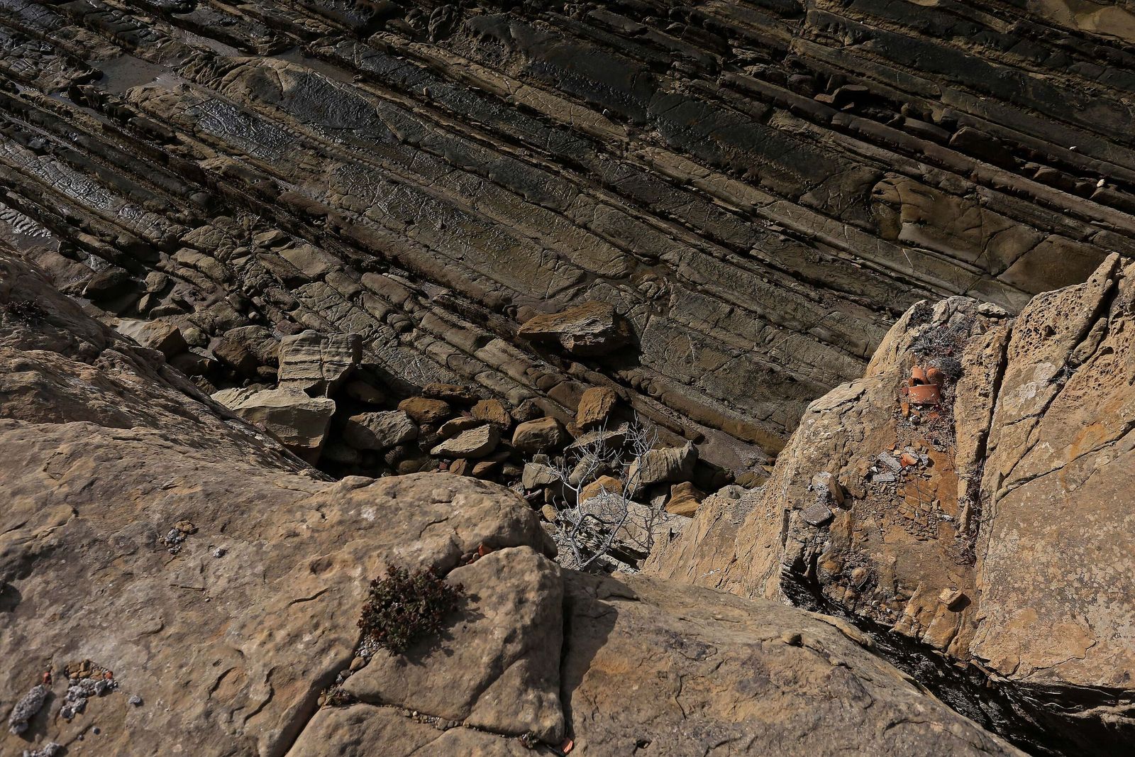 Flysh del Campo de Gibraltar, en imágenes