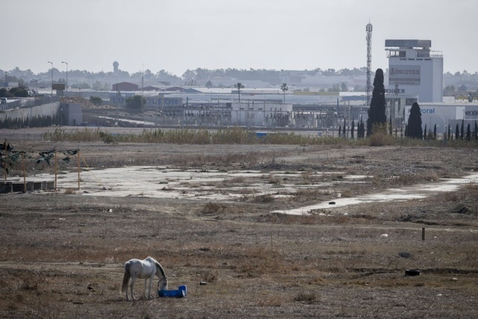 Los terrenos de la Exposición 2027 sobre ciudades sostenibles