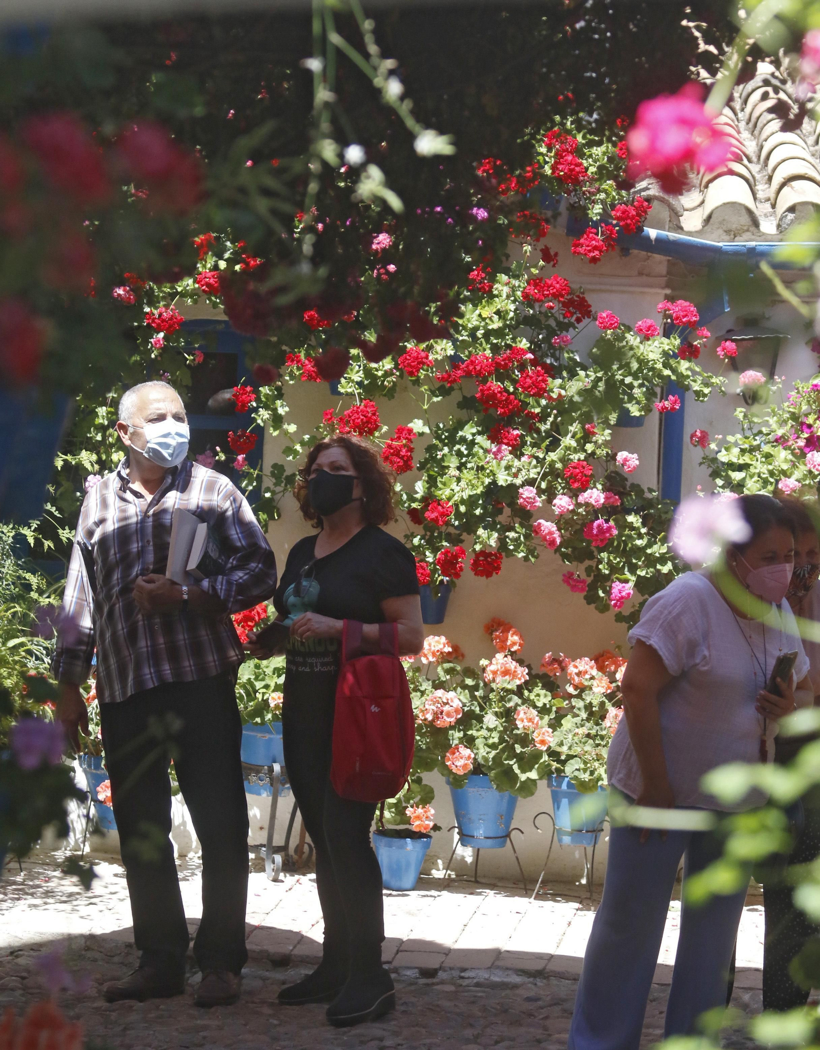 Ruta San Lorenzo de los Patios de Córdoba, en imágenes