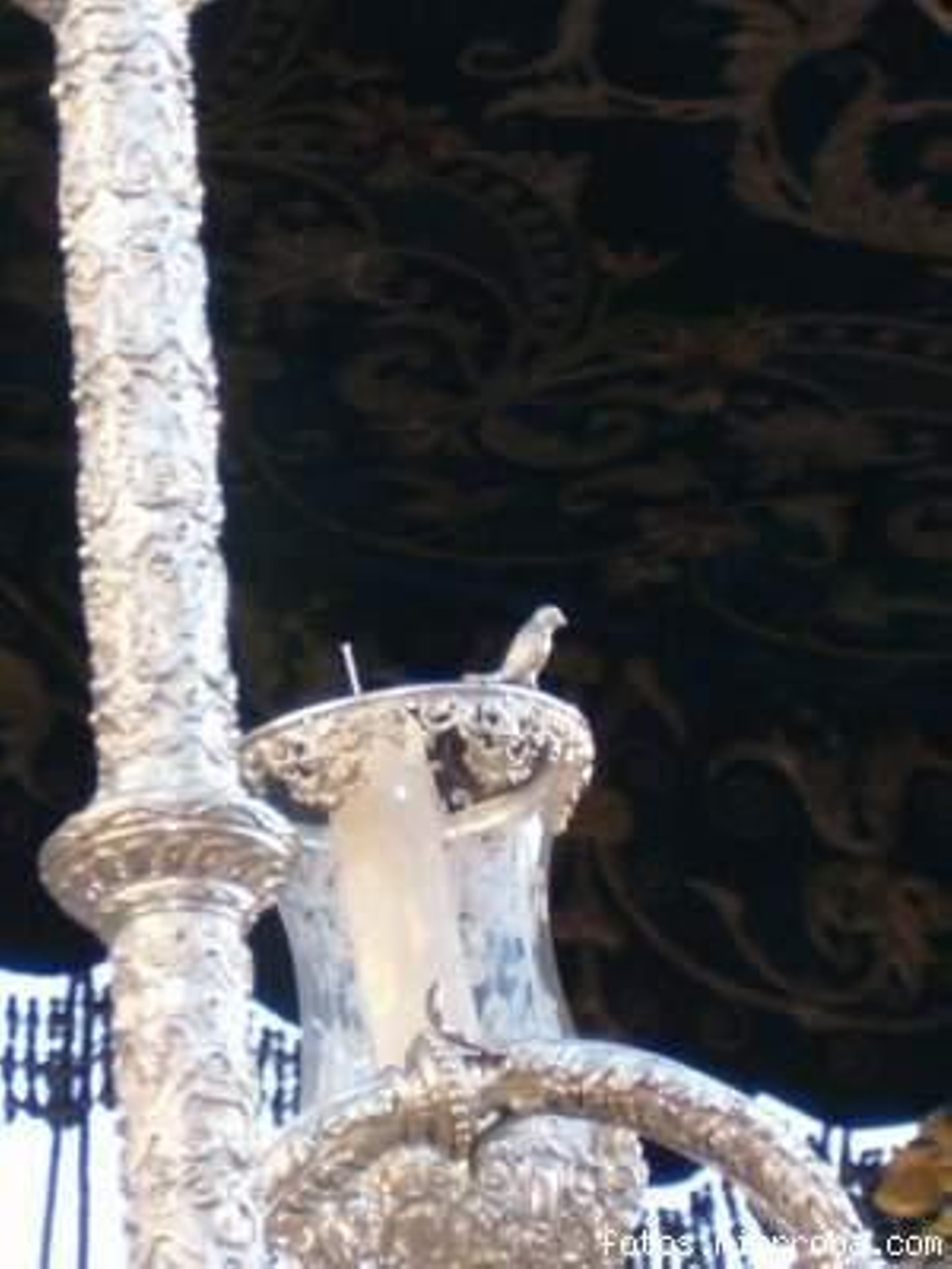 Un pájaro en los candelabros de la Hiniesta