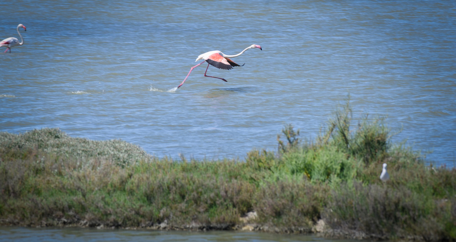 Imágenes de la finca Veta la Palma