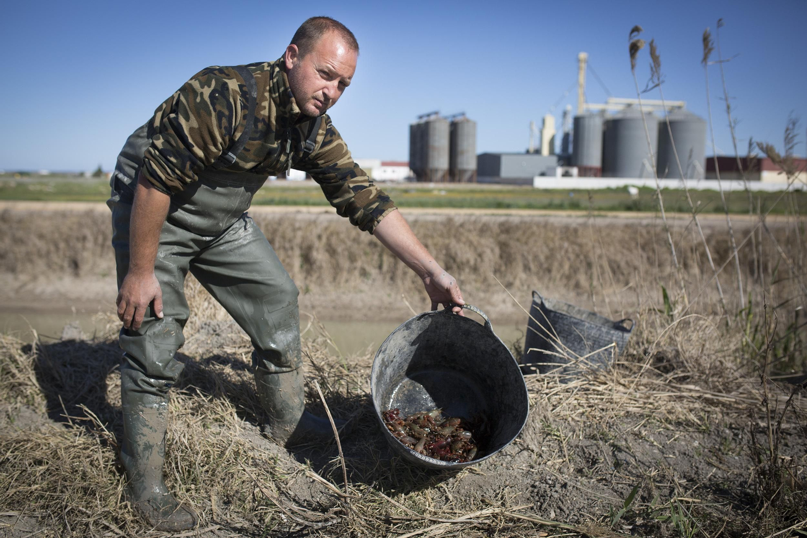 Un pescador muestra cangrejos rojos recién capturados en Isla Mayor.