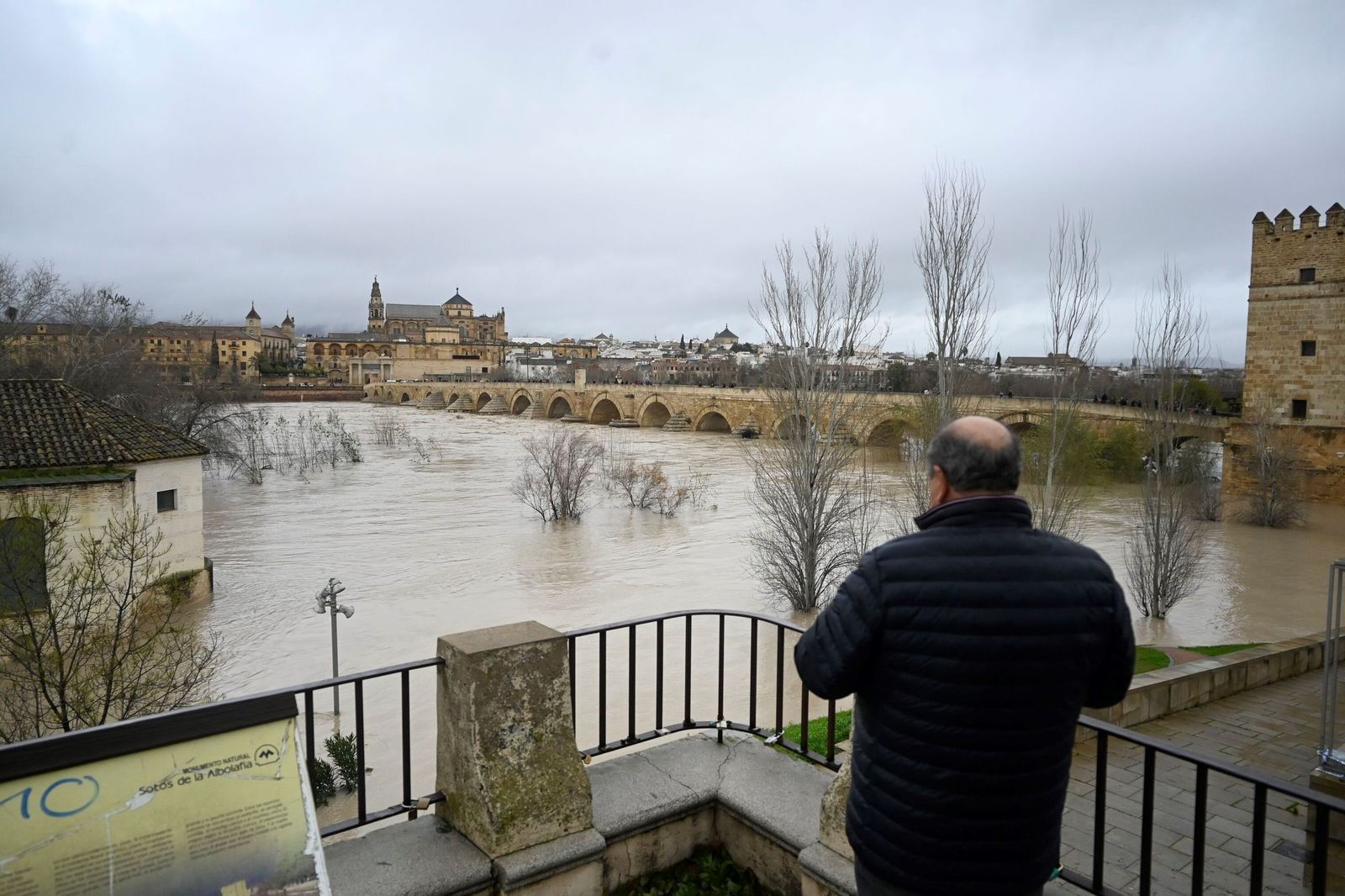 La impresionante crecida del río Guadalquivir: se acerca a los 6 metros a su paso por Córdoba