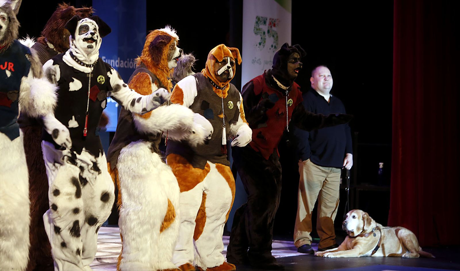 Las imágenes de la cuarta función de cuartos