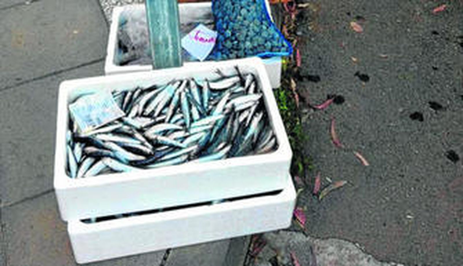 Parte de la mercancía fresca intervenida esta semana en Algeciras.