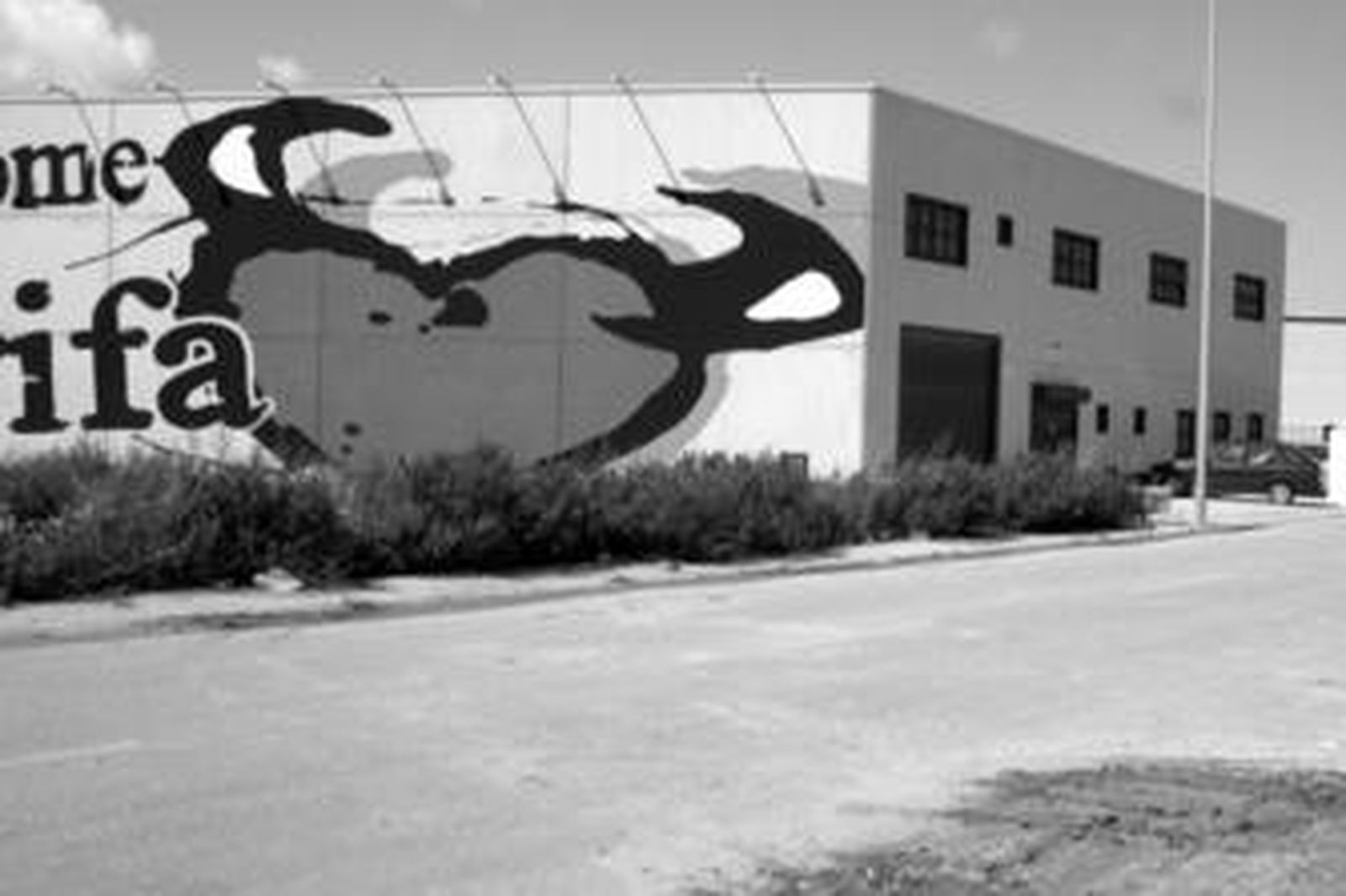 Imagen de la nave robada en el polígono industrial tarifeño, ayer.