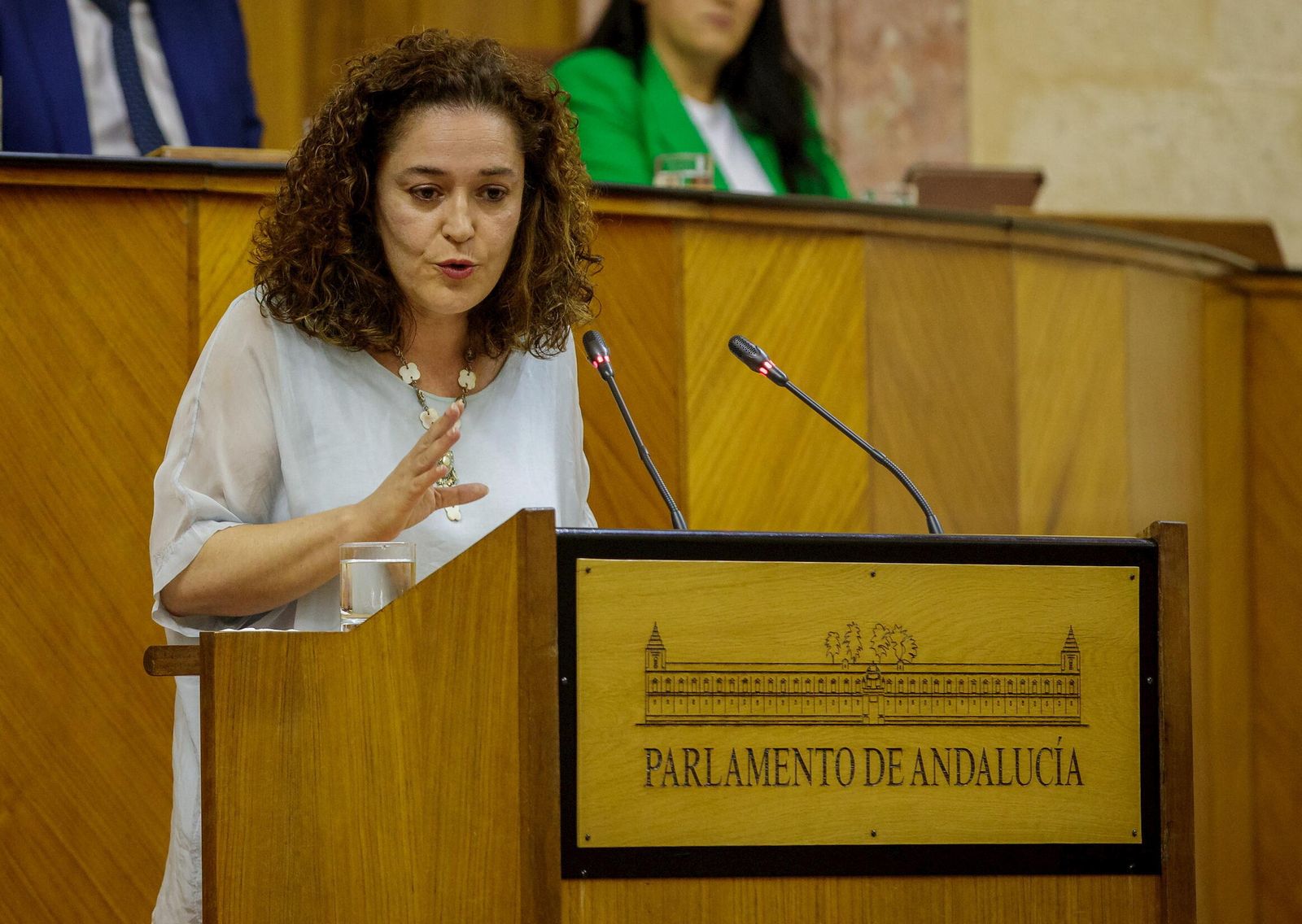Inmaculada Nieto en el Parlamento de Andalucía.