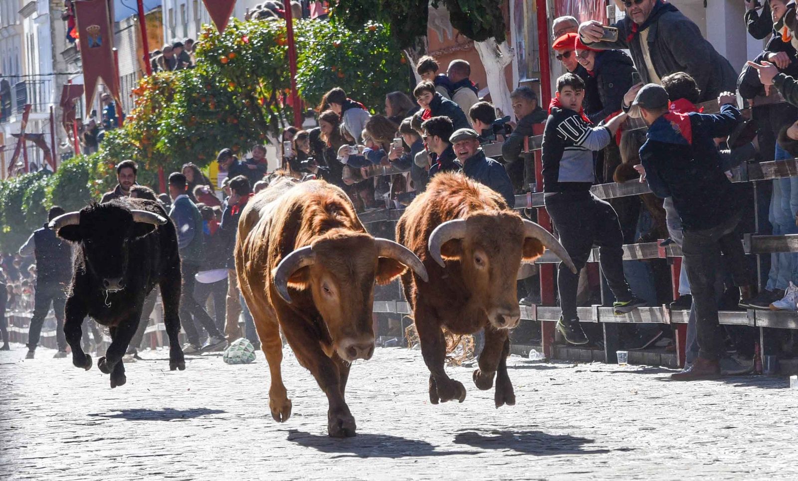 Las imágenes de los festejos de San Sebastián en La Puebla del Río 2026