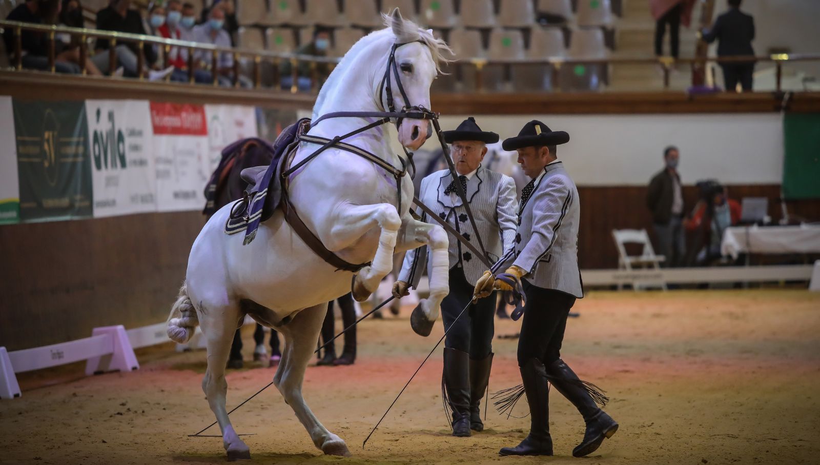 XIV Copa del Rey de Doma Vaquera y exhibición de la Real Escuela Andaluza del Arte Ecuestre