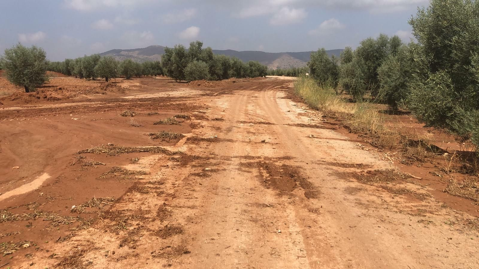 Camino agrícola dañado por las lluvias en Sierra de Yeguas.