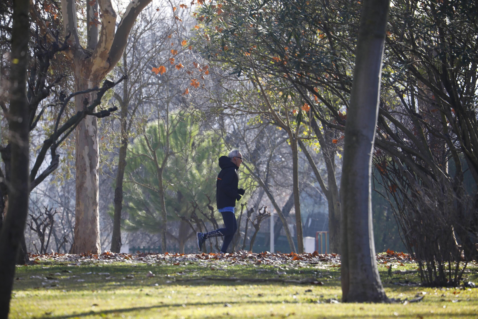 A ponerse en forma tras la Navidad: las fotografías de una jornada de entrenamiento en Córdoba