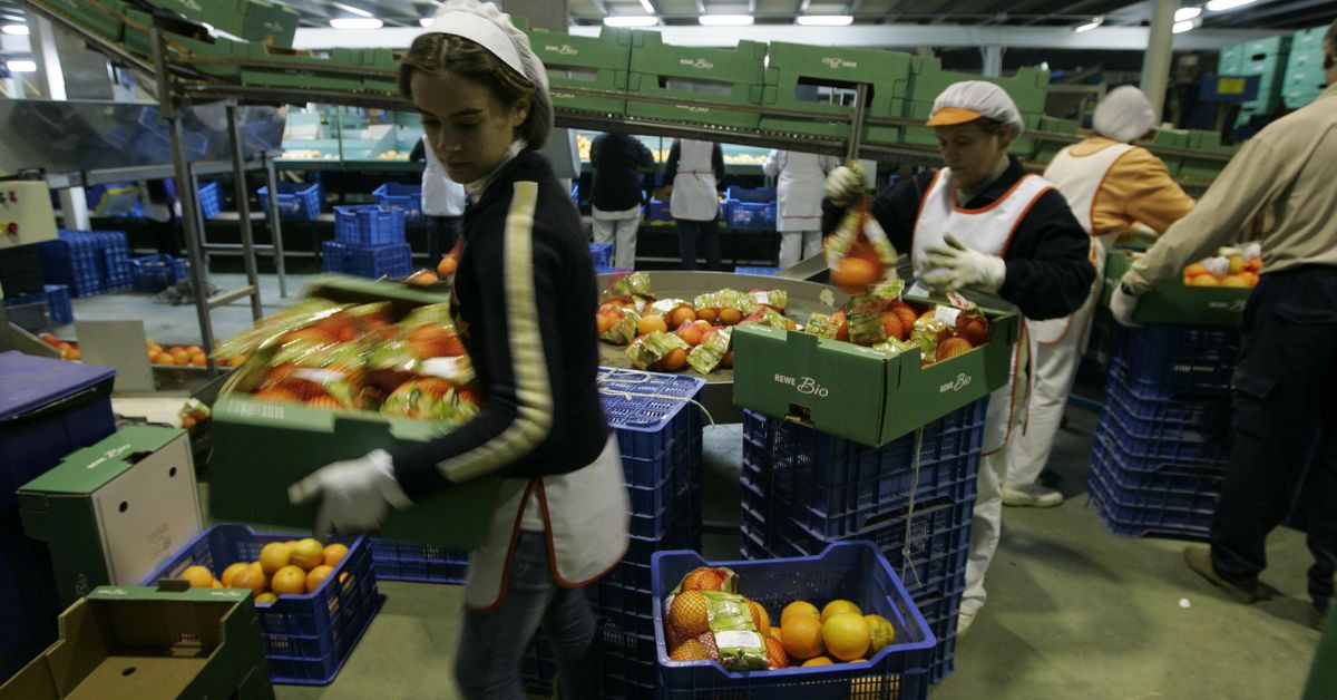 El sector de ecológico, en pie de guerra por el Reglamento UE
