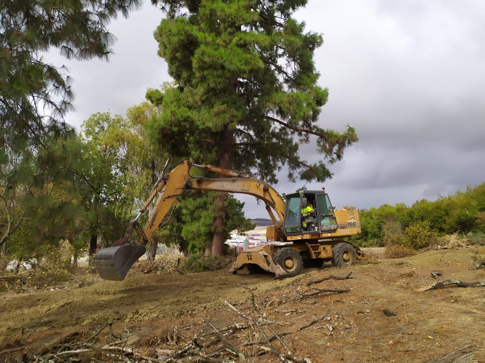 Una máquina removiendo terrenos en el Zoobotánico este lunes.