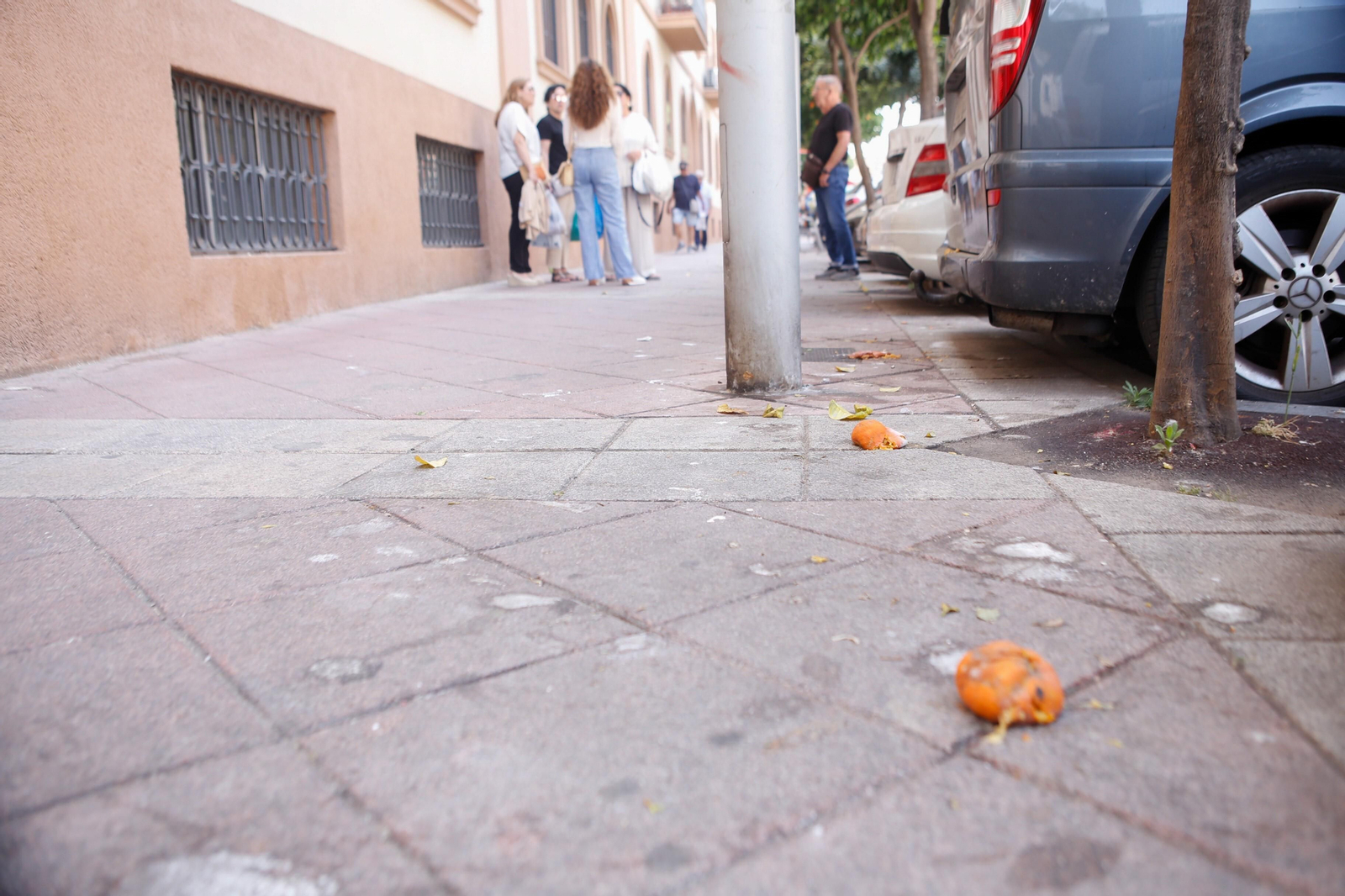 Las naranjas amargas toman las aceras de Algeciras, en imágenes