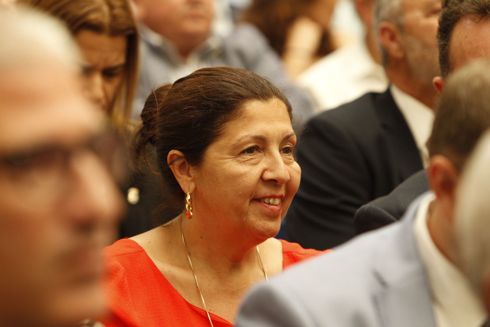 Pleno investidura Presidente Diputación de Almería. Javier Aureliano García