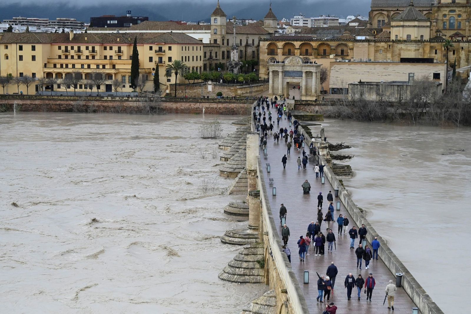 La impresionante crecida del río Guadalquivir: se acerca a los 6 metros a su paso por Córdoba
