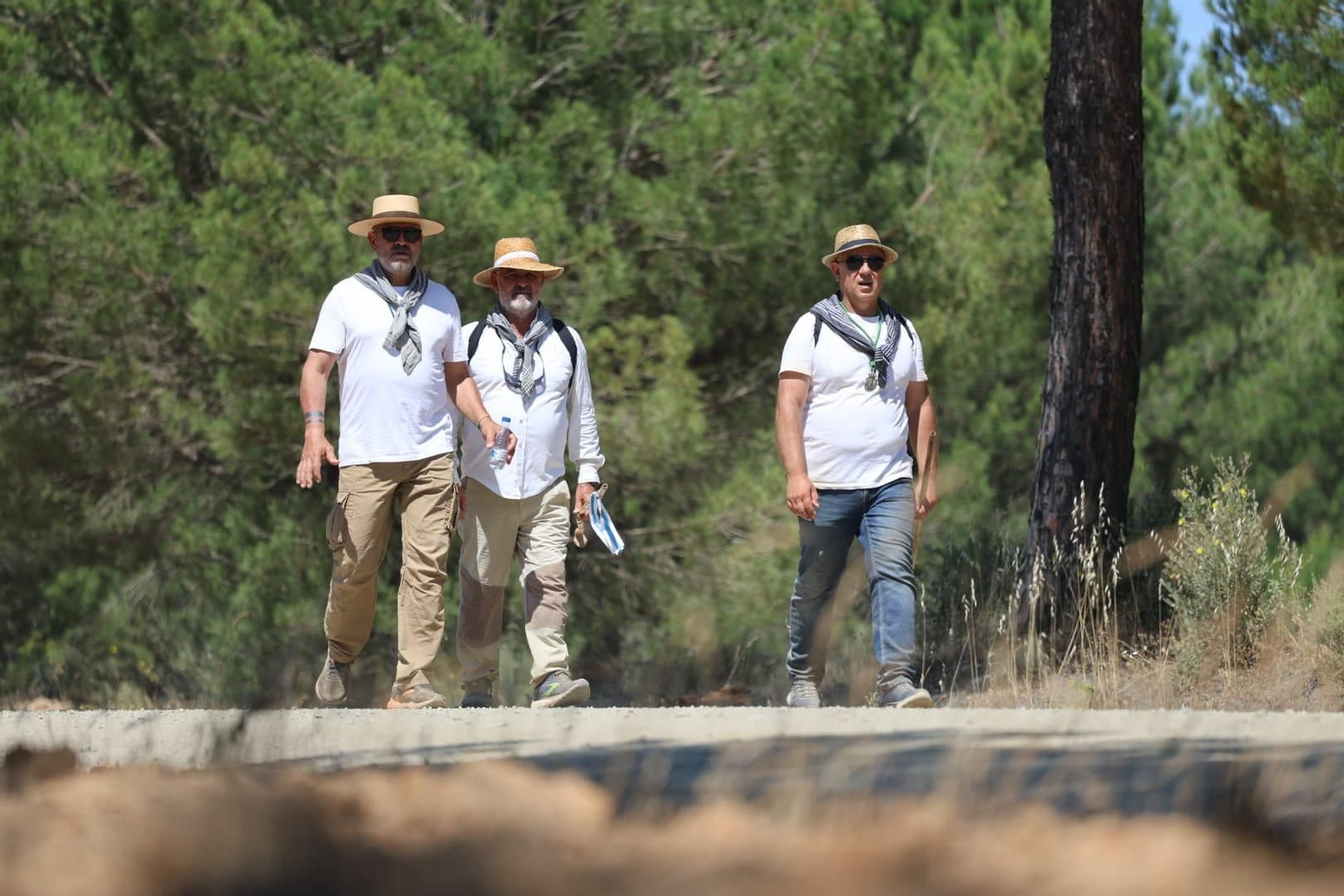 Ambientazo en el camino de Huelva al Rocío este viernes: imágenes de los peregrinos en La Matilla