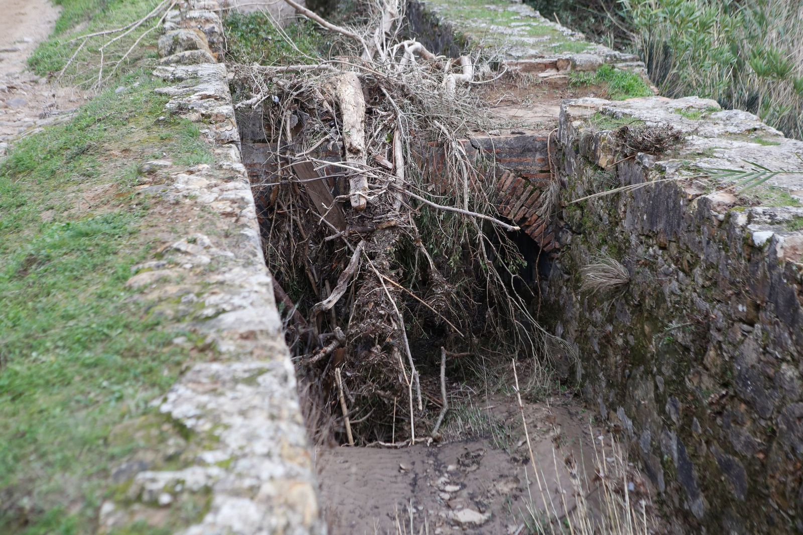 Fotos de las consecuencias de la borrasca Francis en Tesorillo y Jimena