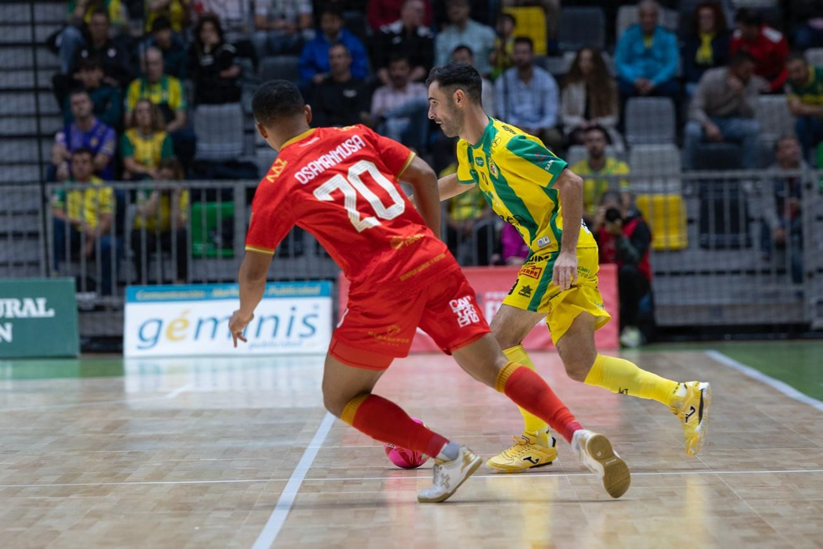 Las mejores imágenes del Jaén Paraíso Interior FS 1 - 1 Jimbee Cartagena