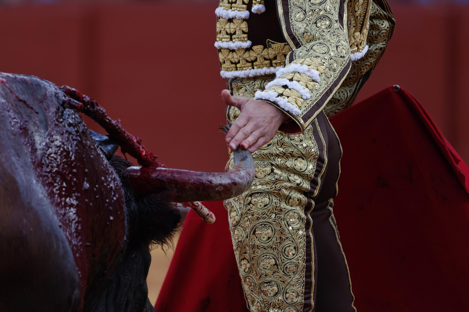 Las imágenes del festejo