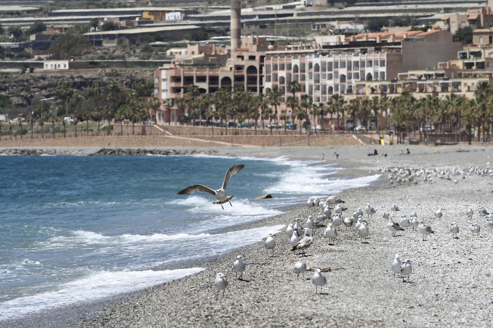 Playa El Carboncillo (Adra)