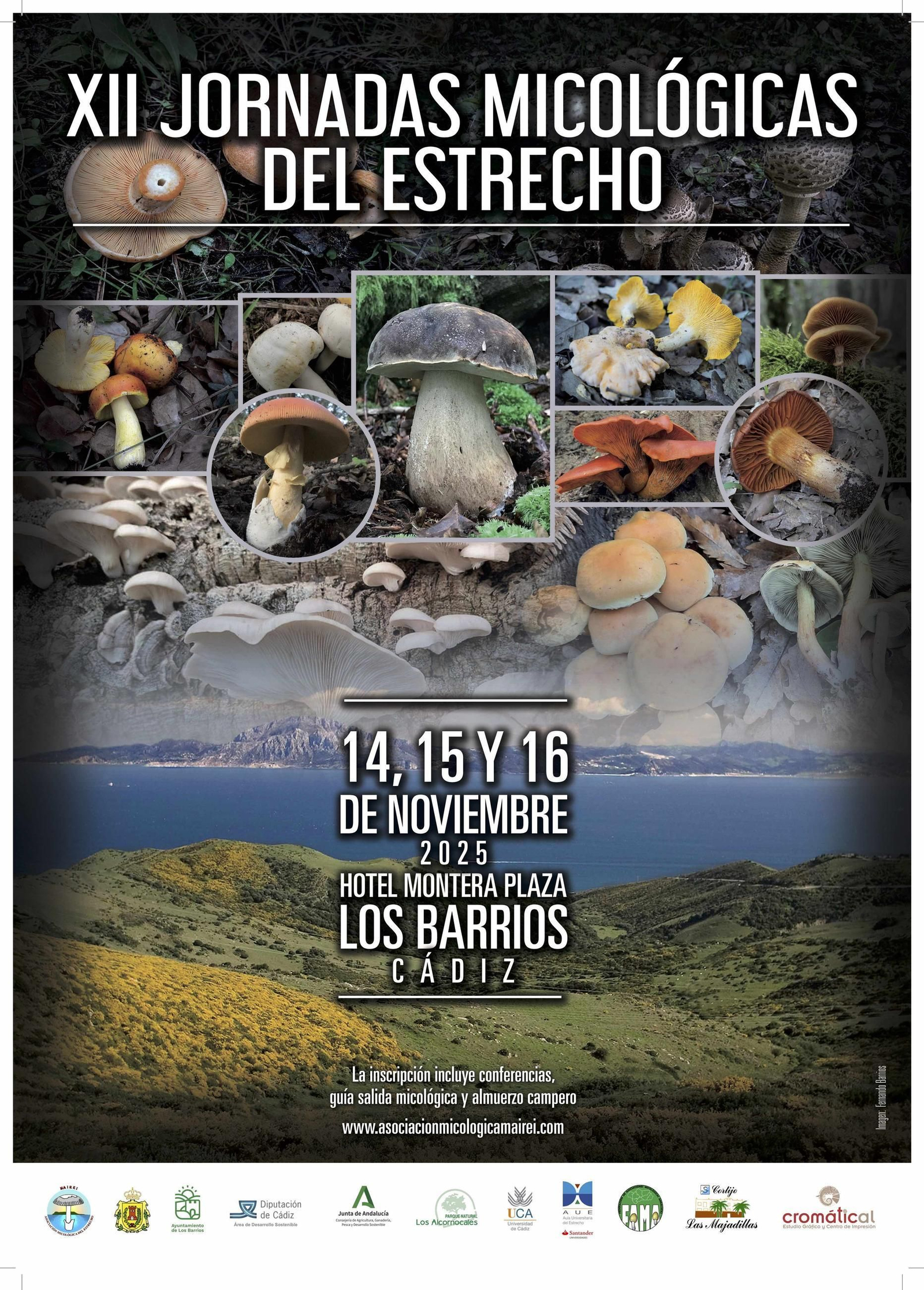 Conoce las setas del Estrecho de Gibraltar en este encuentro micológico en Los Barrios.