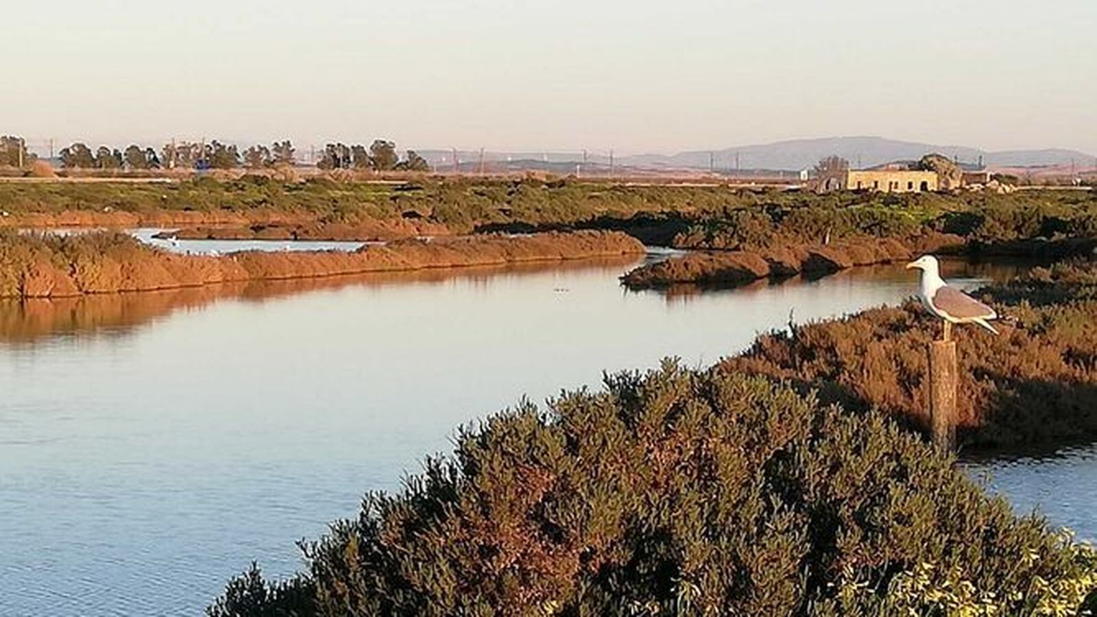 Uno de los paisajes de las marismas del Parque Metropolitano de Los Toruños.