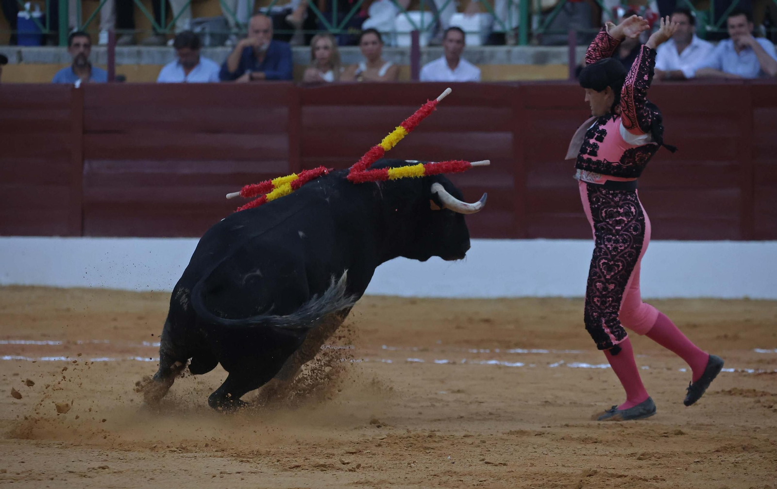 Fotos de la corrida del viernes de la Feria de La Línea: Morante de la Puebla, Talavante y David de Miranda Fotos de la corrida del viernes de la Feria de La Línea: Morante de la Puebla, Talavante y David de Miranda