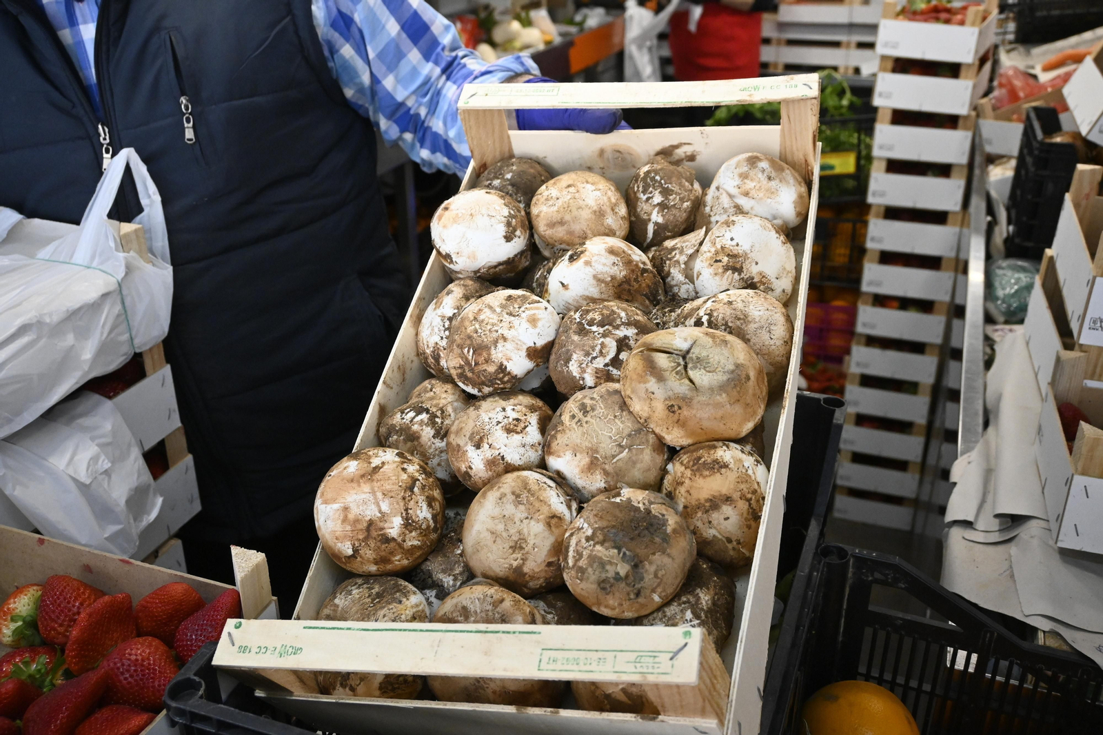 Los gurumelos se multiplican y arrasan en el mercado de Huelva,  las mejores imágenes