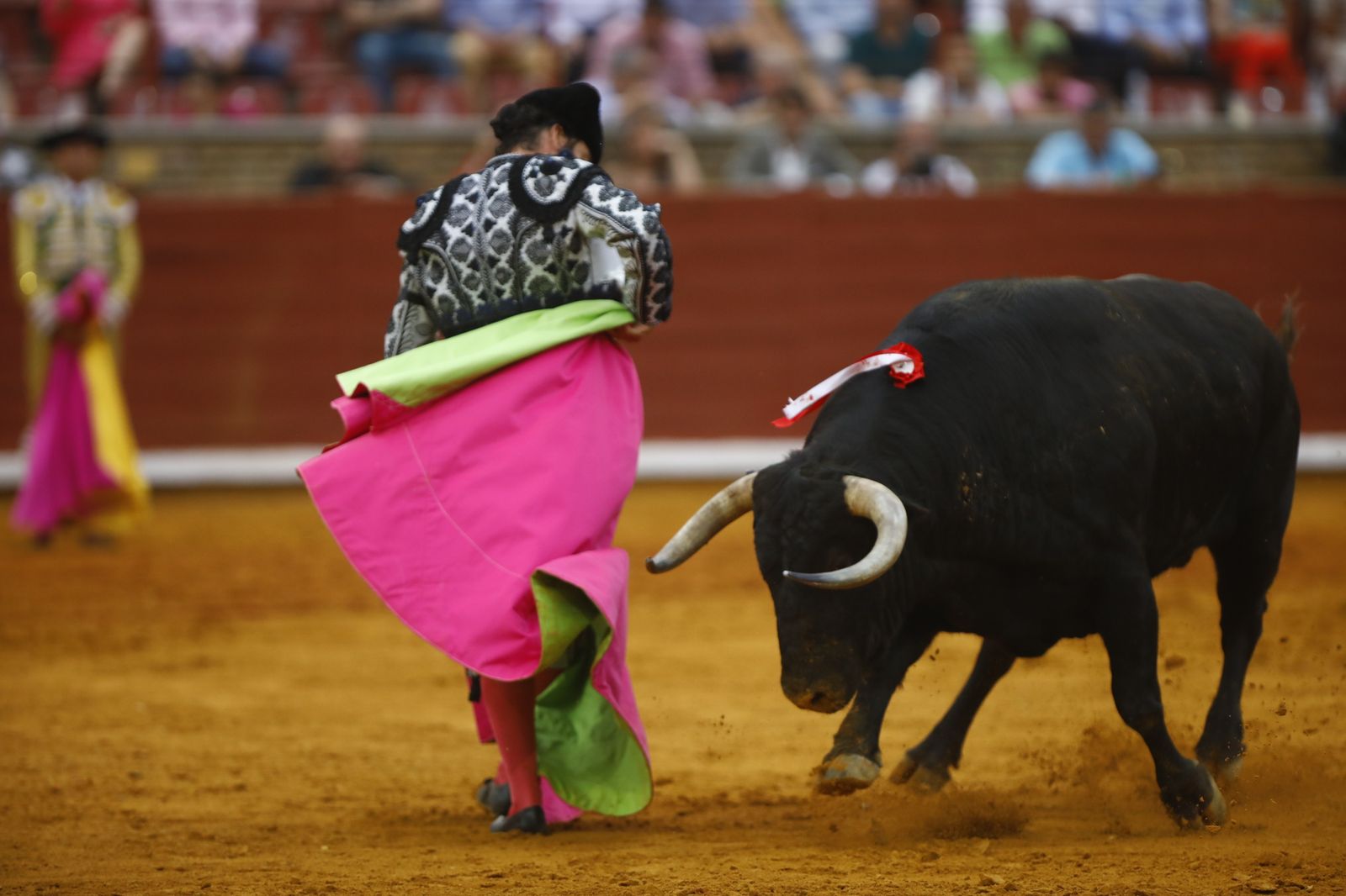 La corrida mixta de Diego Ventura, Morante de la Puebla y Pablo Aguado en Córdoba, en imágenes