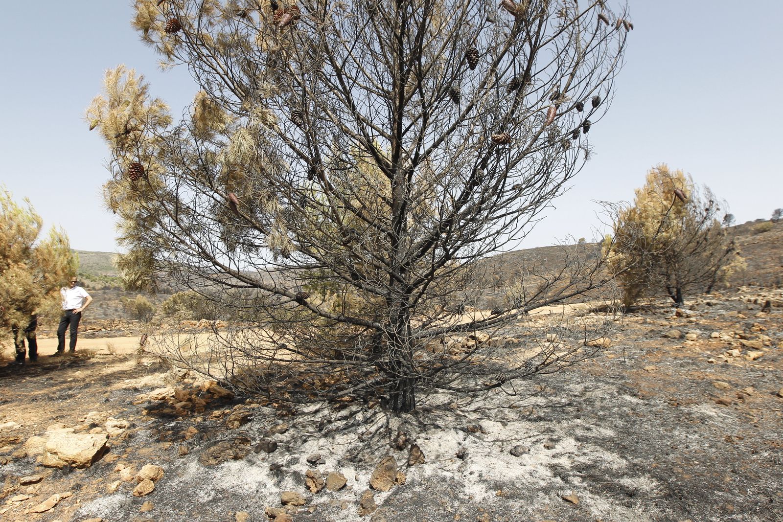 Fotogalería incendio extinguido Sierra de Gádor